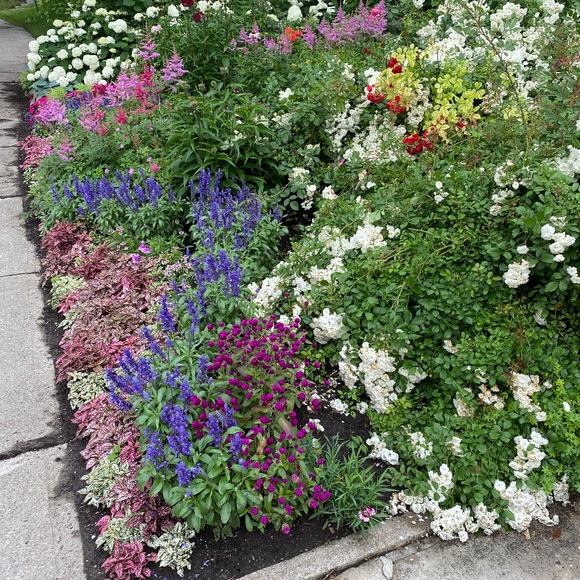 Meet your Posher, Pipermtl - Picture 1 of 1